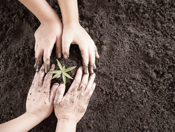 企業合作夥伴實績