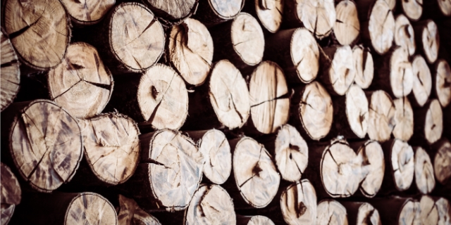 廢木材處理服務