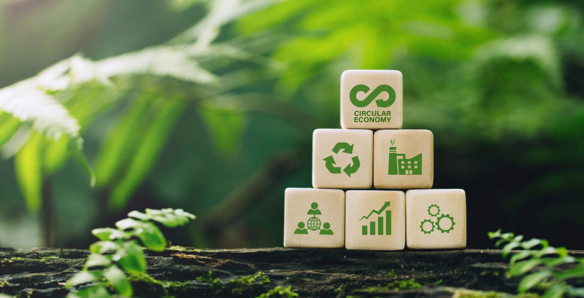 大豐環保服務介紹橫幅